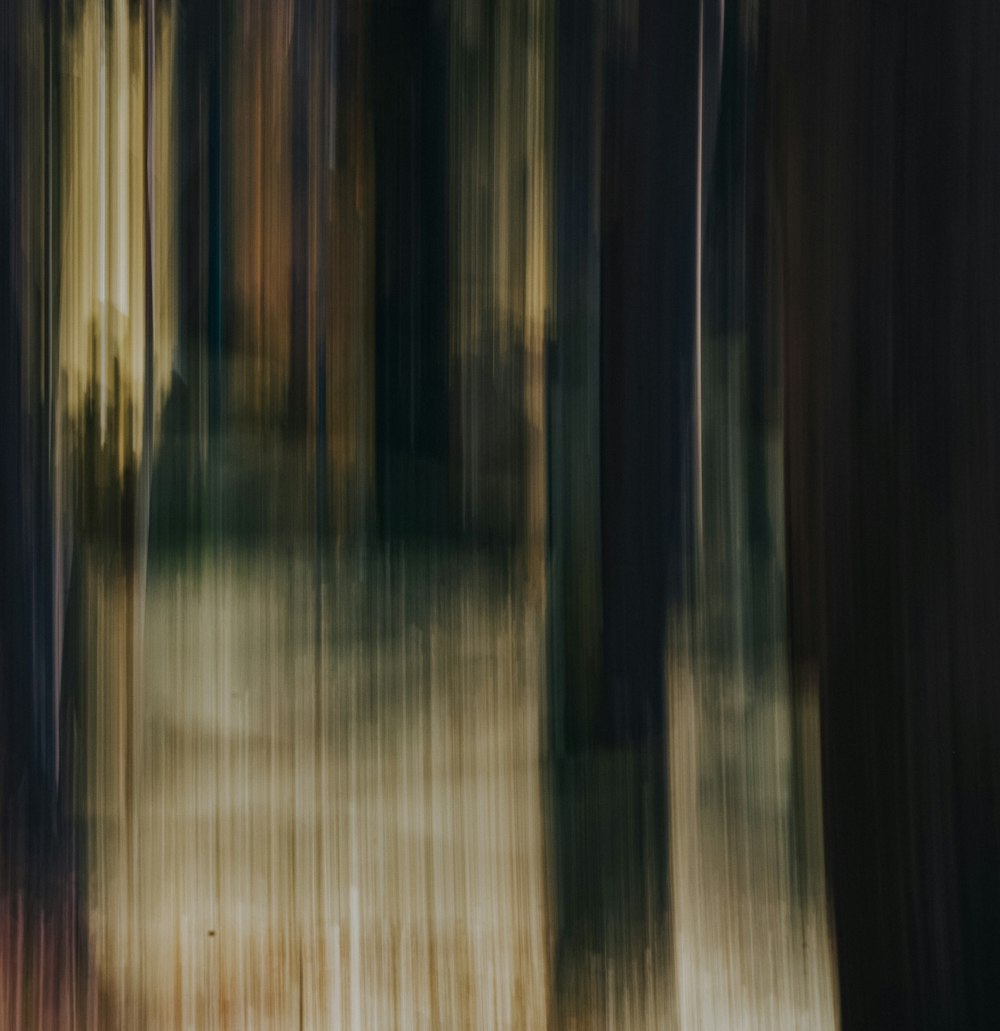 a blurry photo of a forest with trees