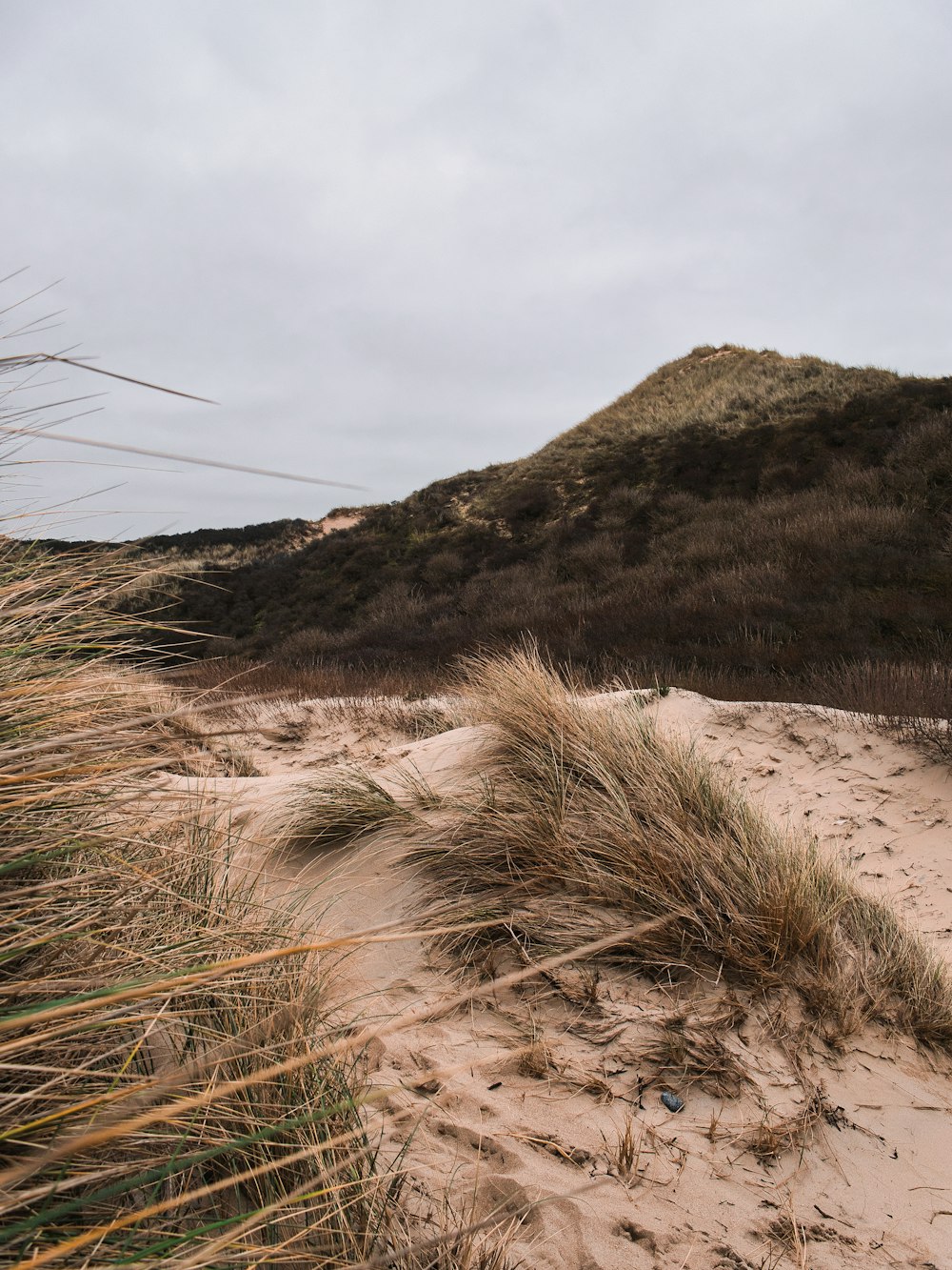 a sandy beach with grass and a hill in the background