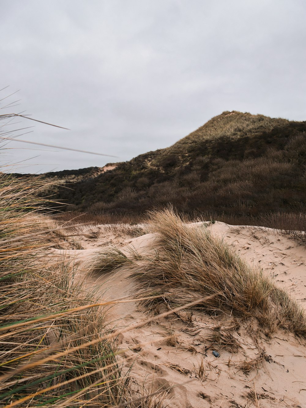 una playa de arena con césped y una colina al fondo