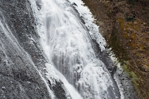 Best Time to Visit Ibaraki: Weather Guide by Season