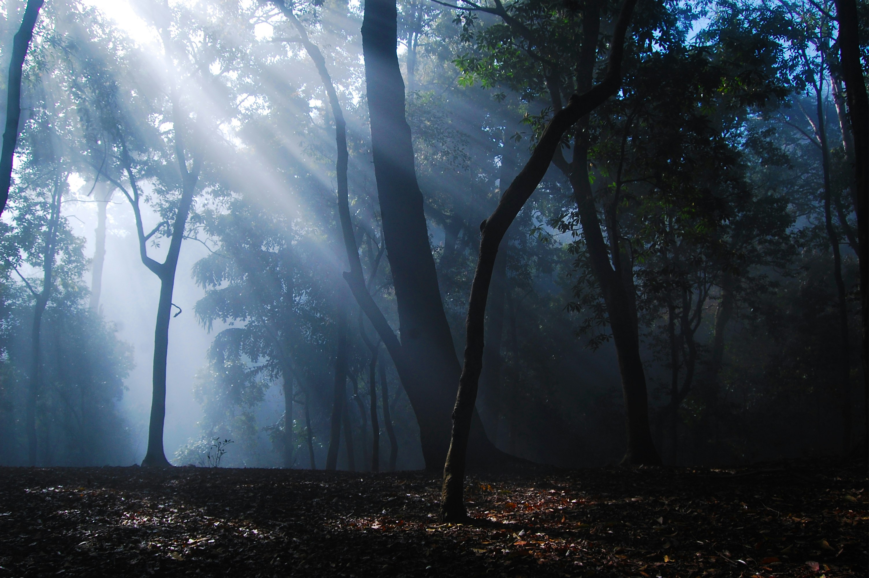 Photo by bikeshdesharphotography