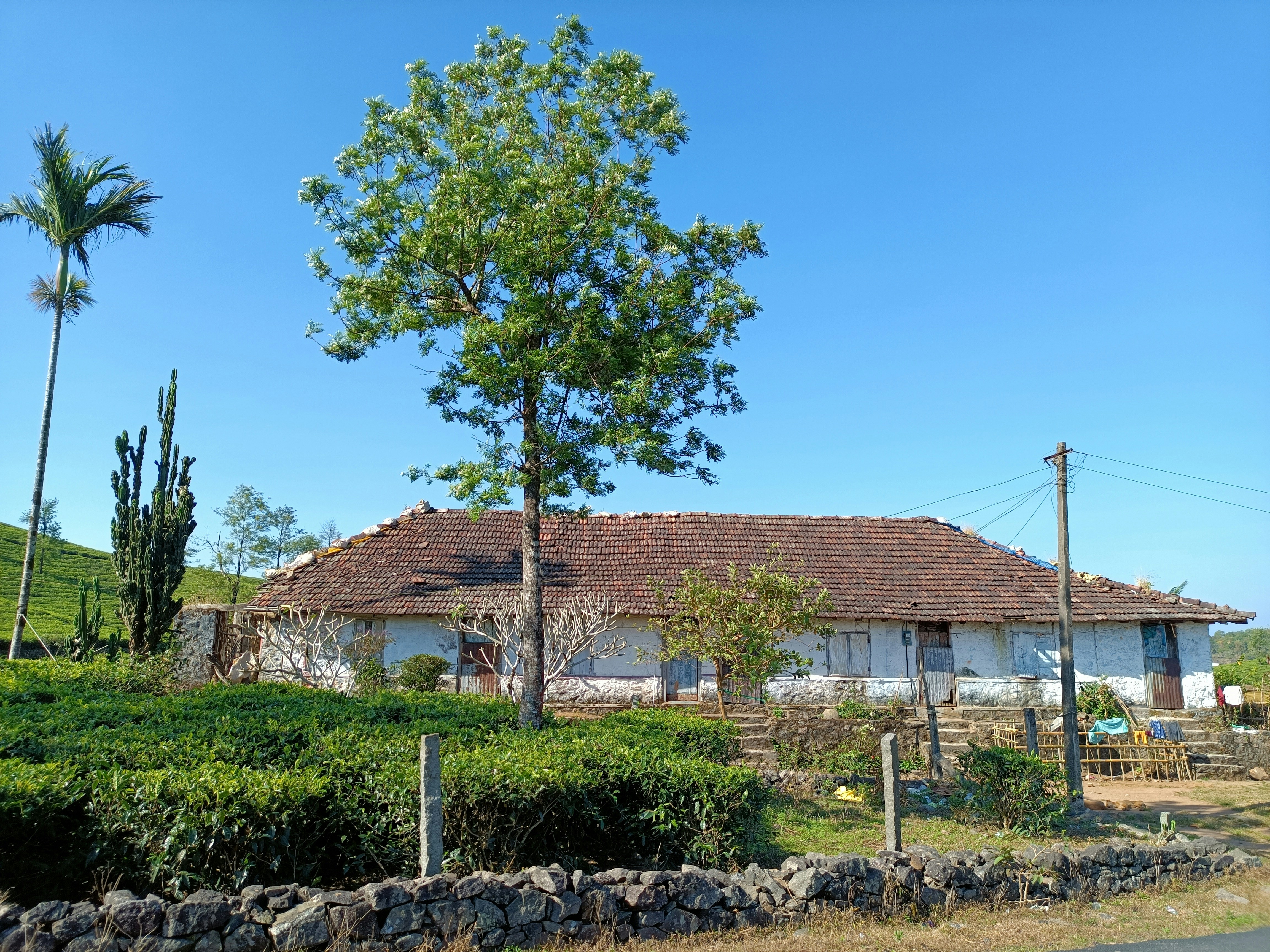 Photo by prince_jake