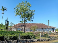 a house with a tree in front of it