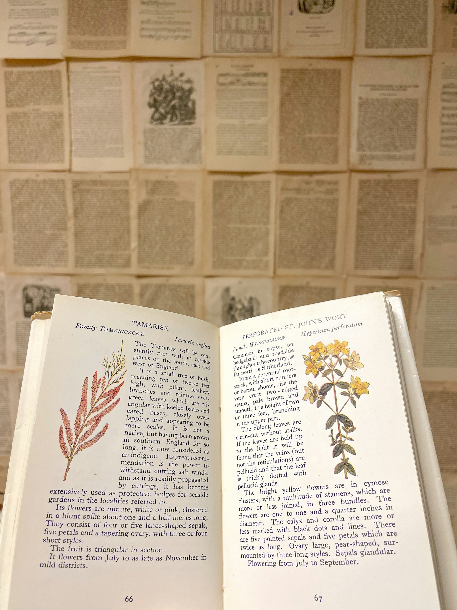 an open book sitting on top of a table