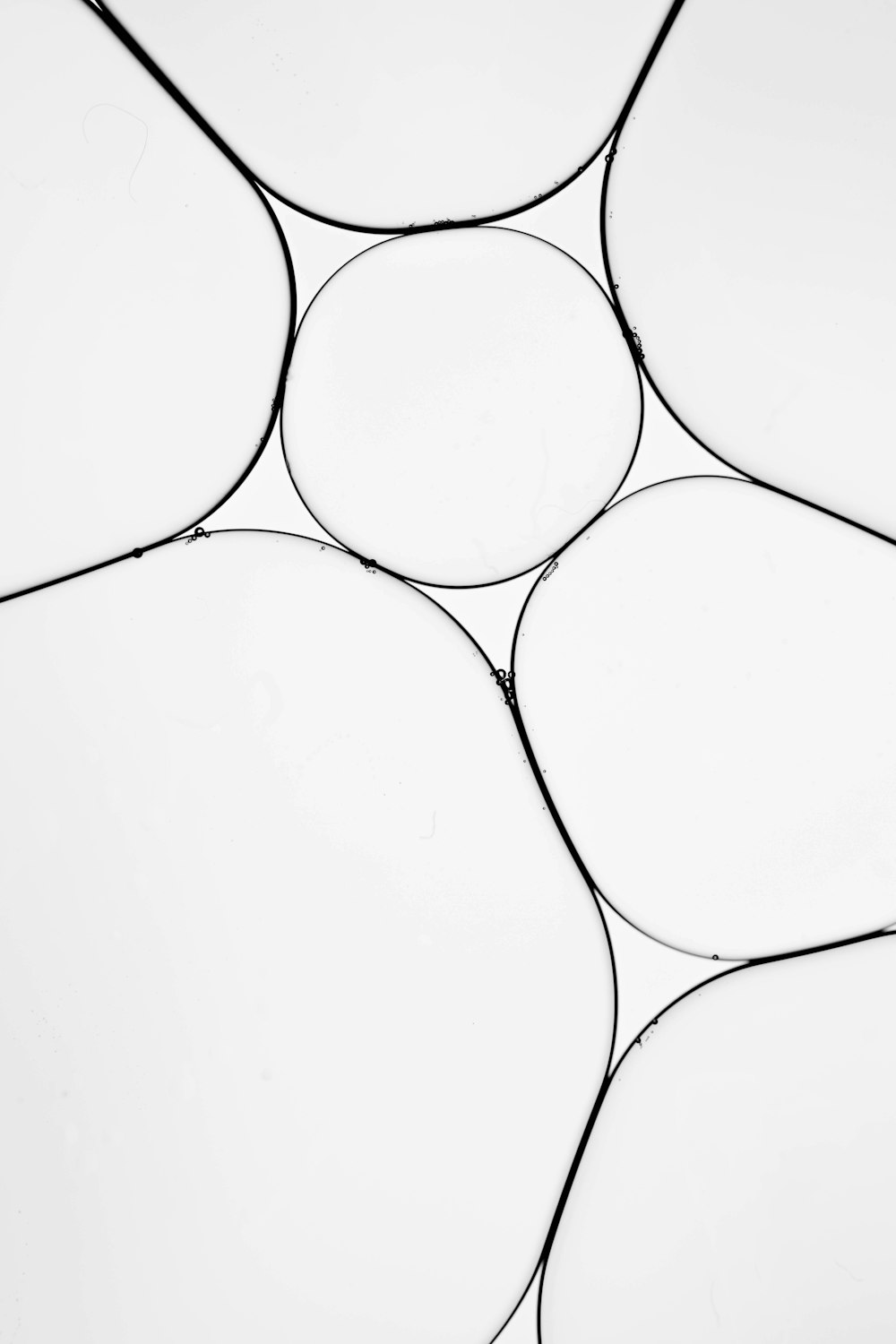 a black and white photo of circles on a wall