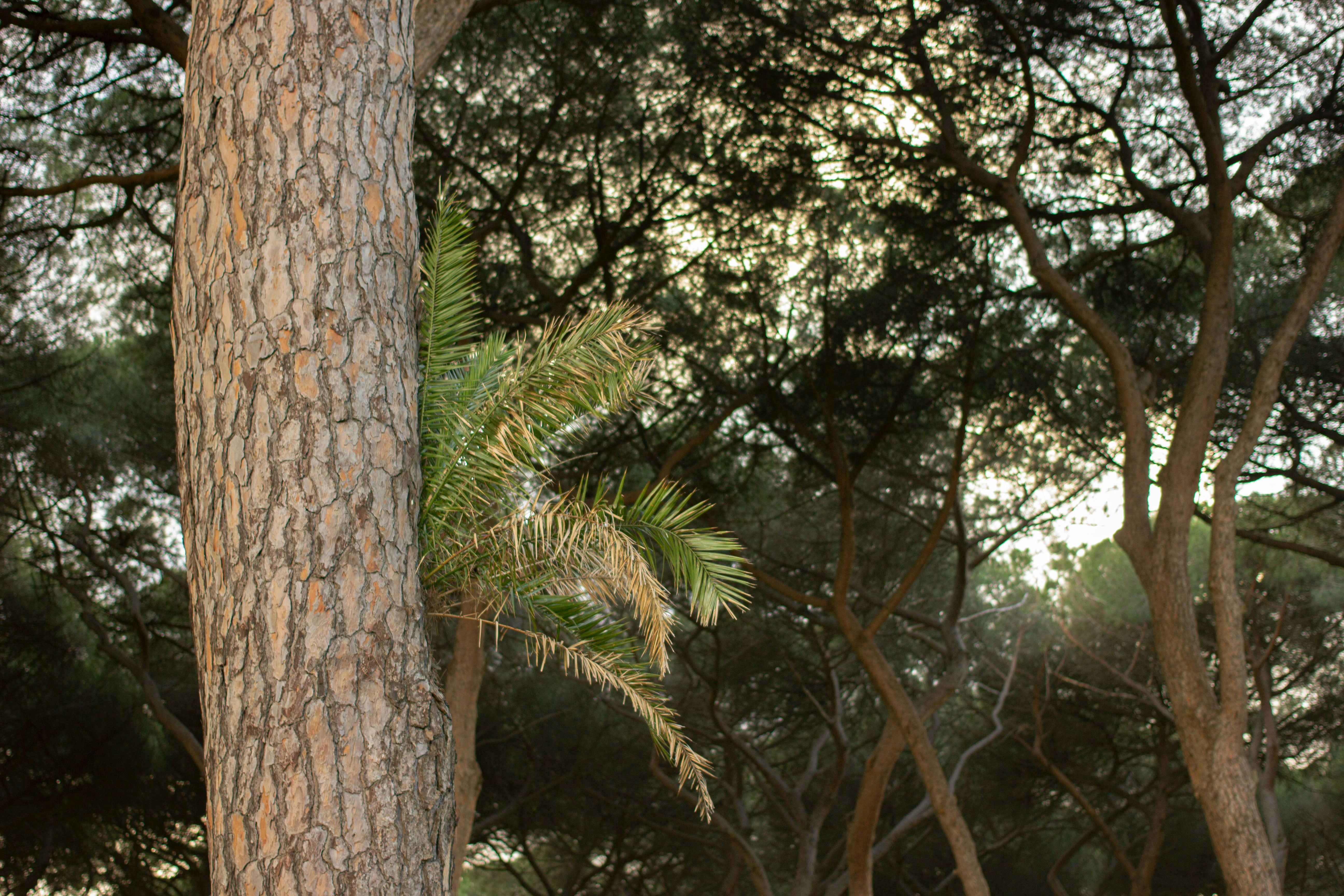 Photo by lettera71