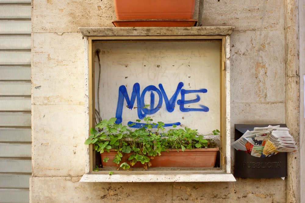 a potted plant in a window with the word move painted on it