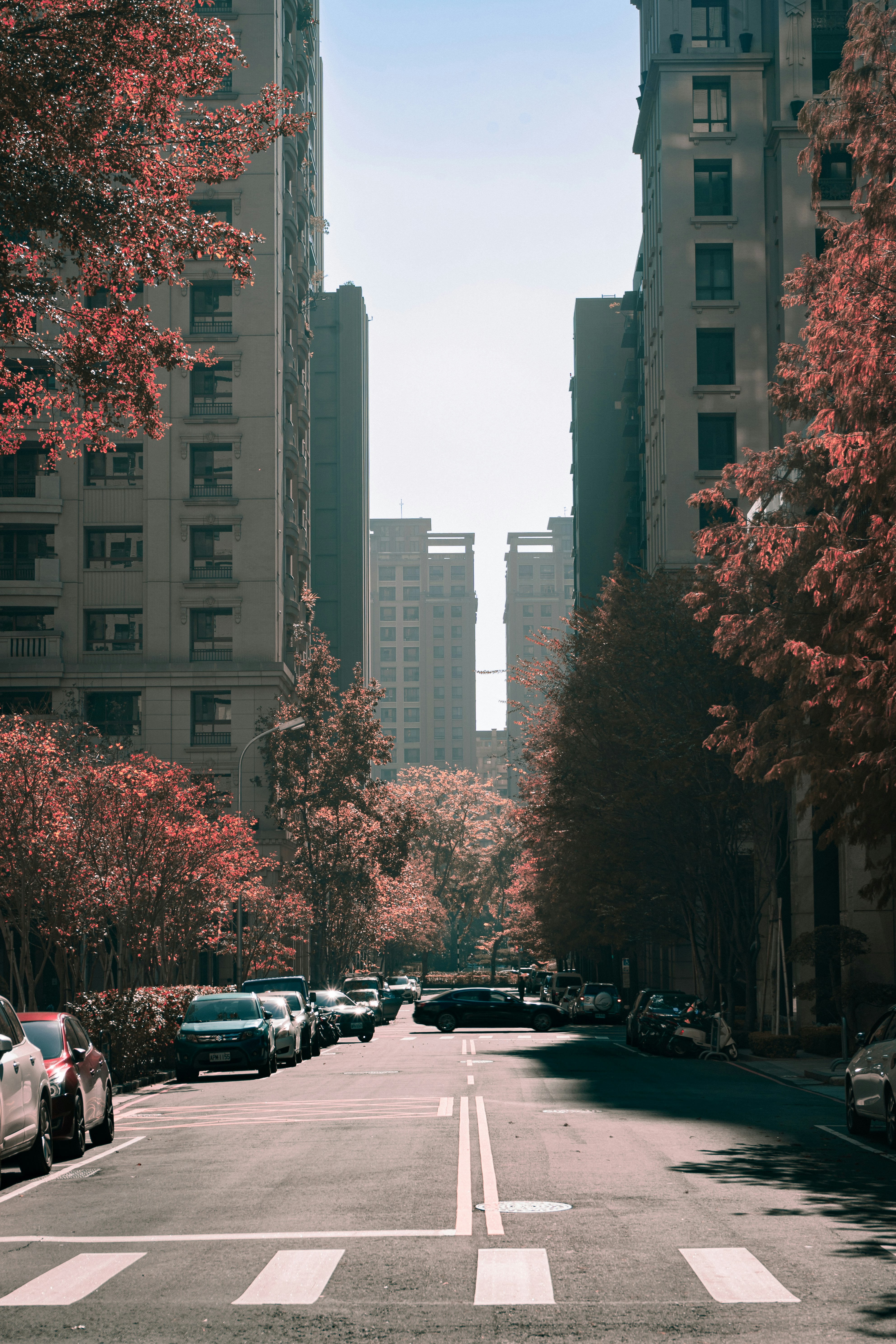 Photo by harrisonchang