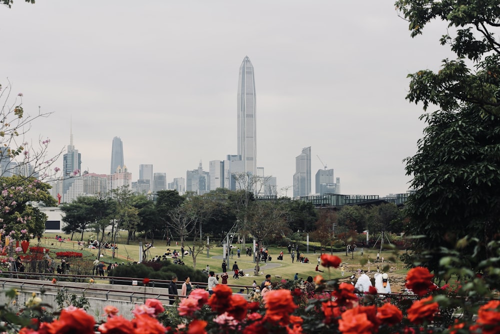 a view of a city skyline from a park