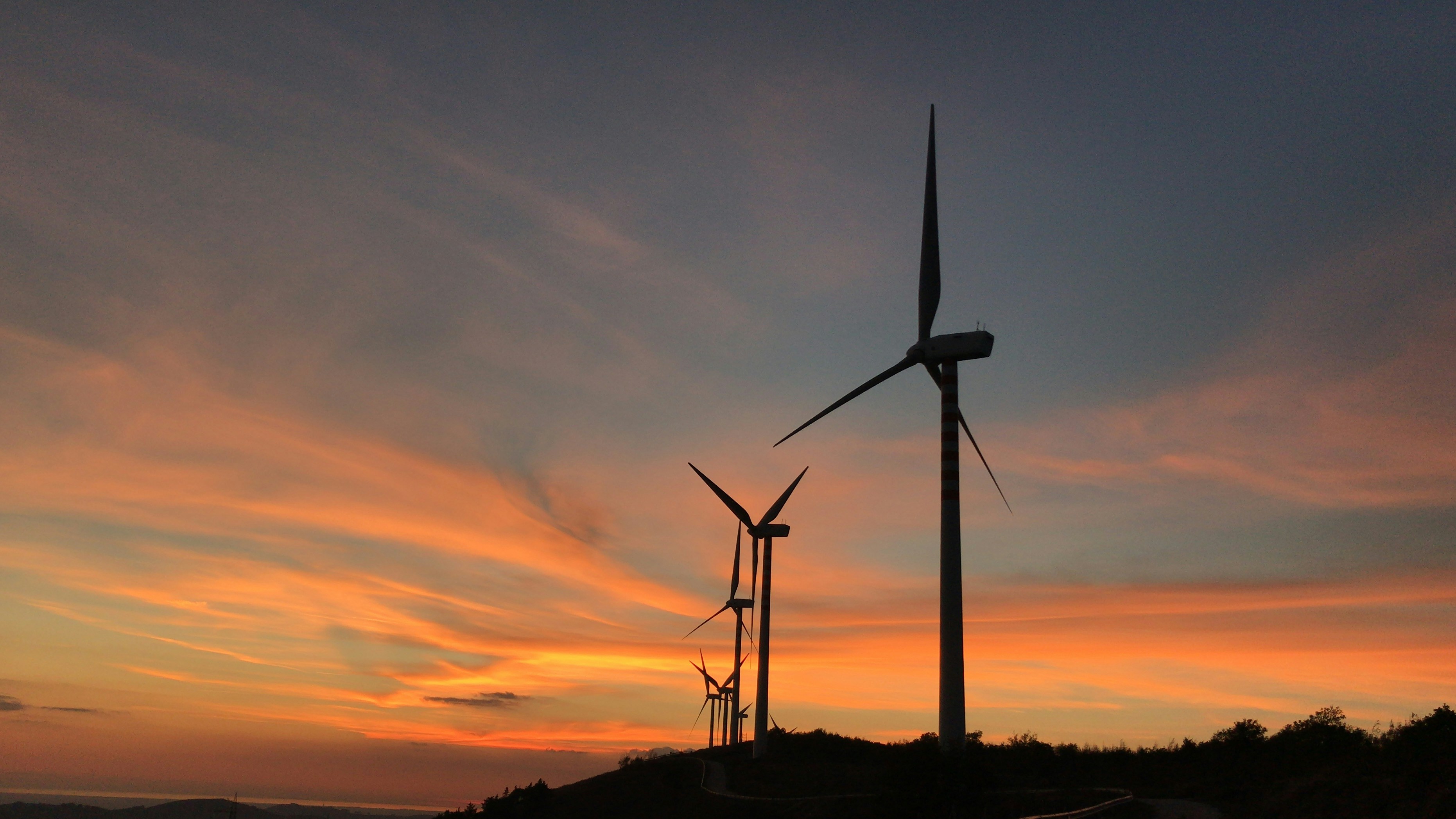 구글보다 똑똑한 AI 검색 엔진이 있을까?