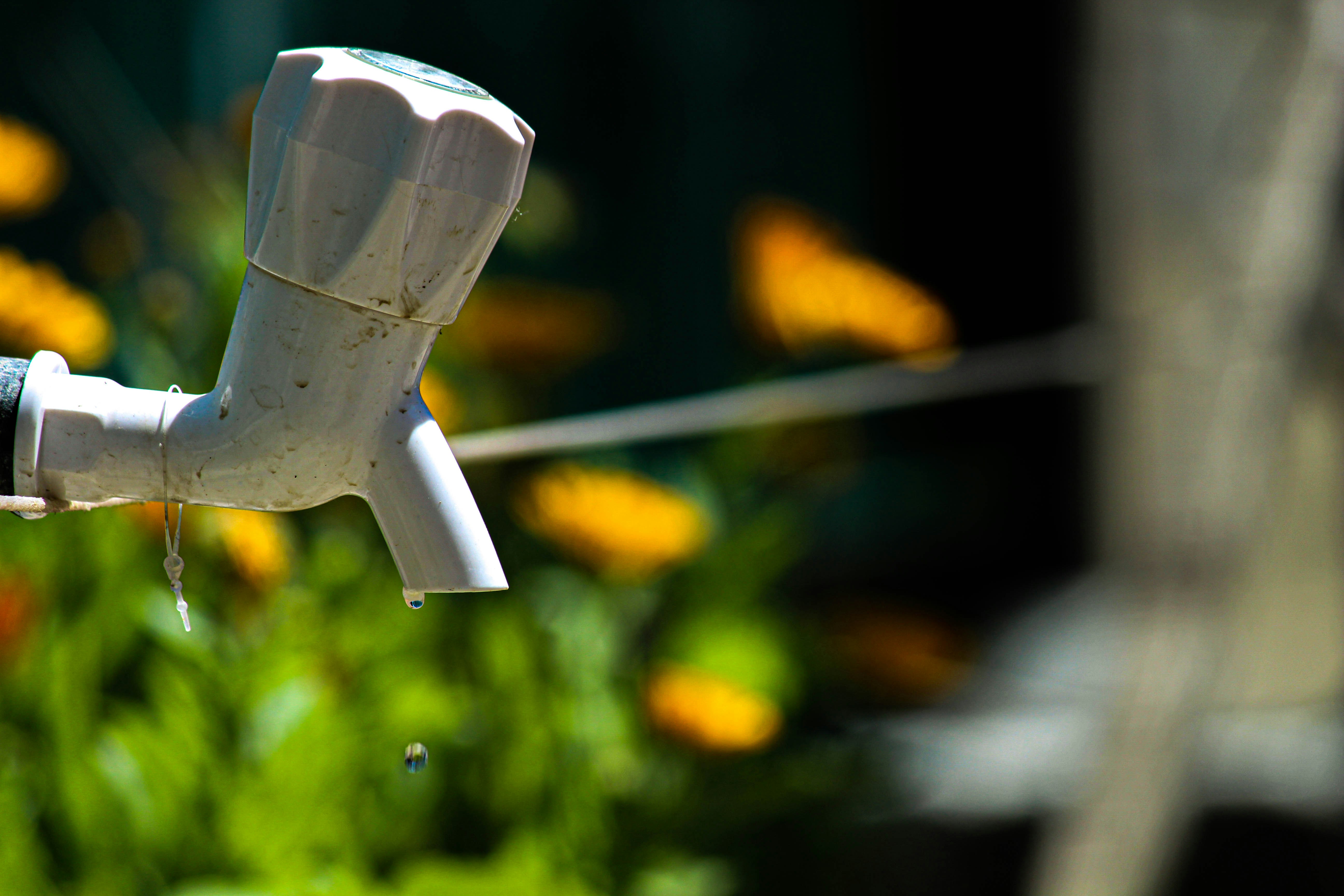a close up of a water faucet with yellow flowers in the background