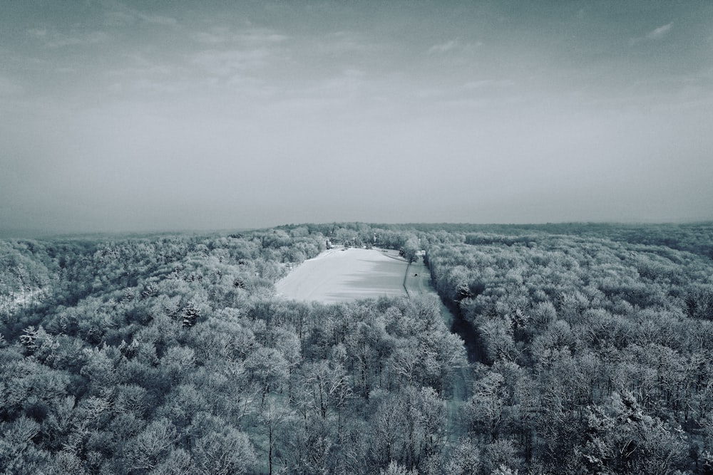 an aerial view of a snow covered forest