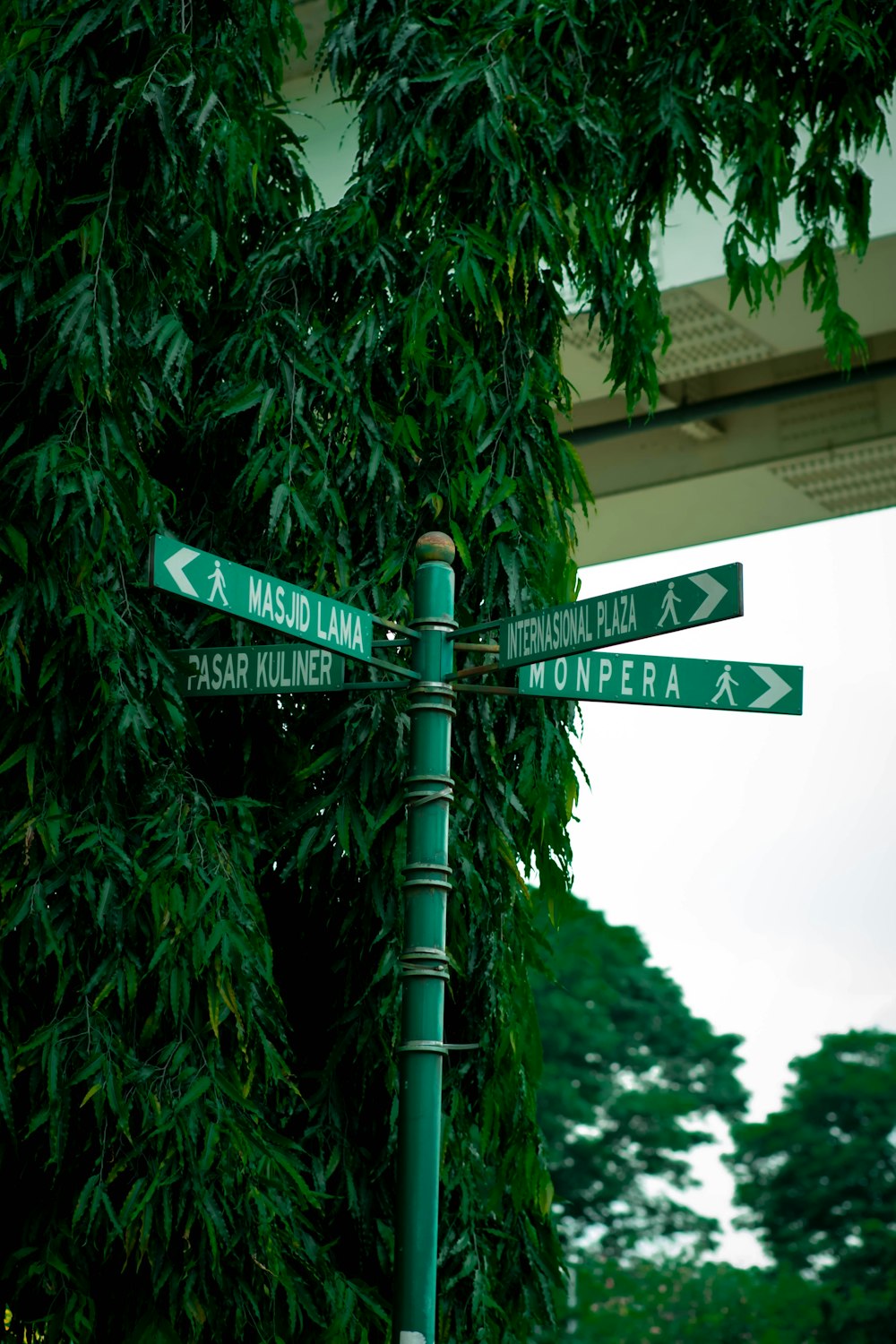 a green street sign sitting next to a lush green tree