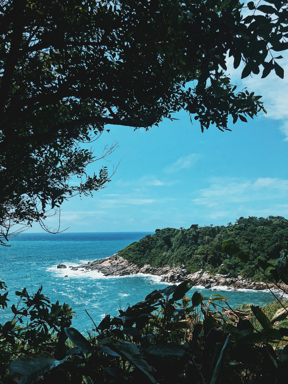 a view of a body of water with trees in the foreground