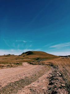 a dirt road going through a grassy field