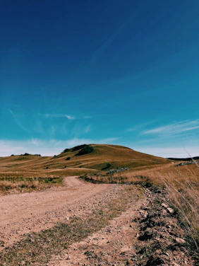 a dirt road going through a grassy field