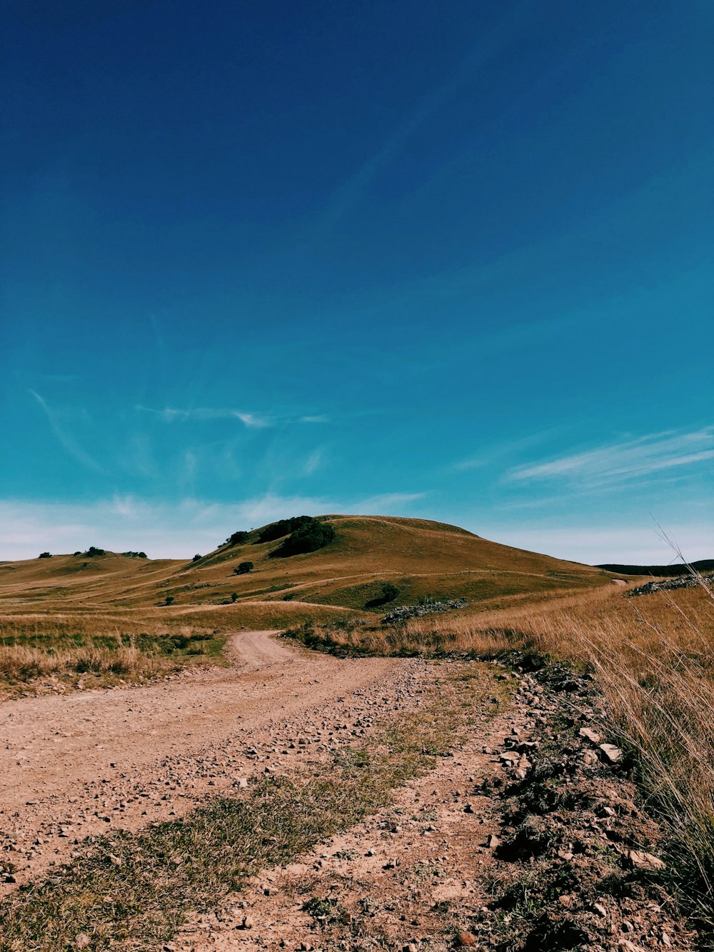 a dirt road going through a grassy field