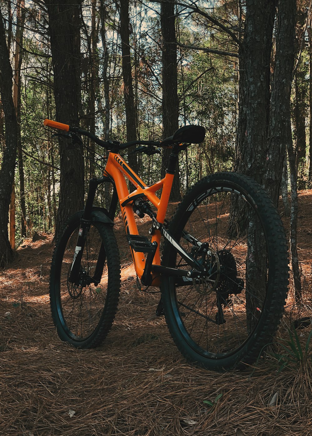 a bike parked in the woods near a tree