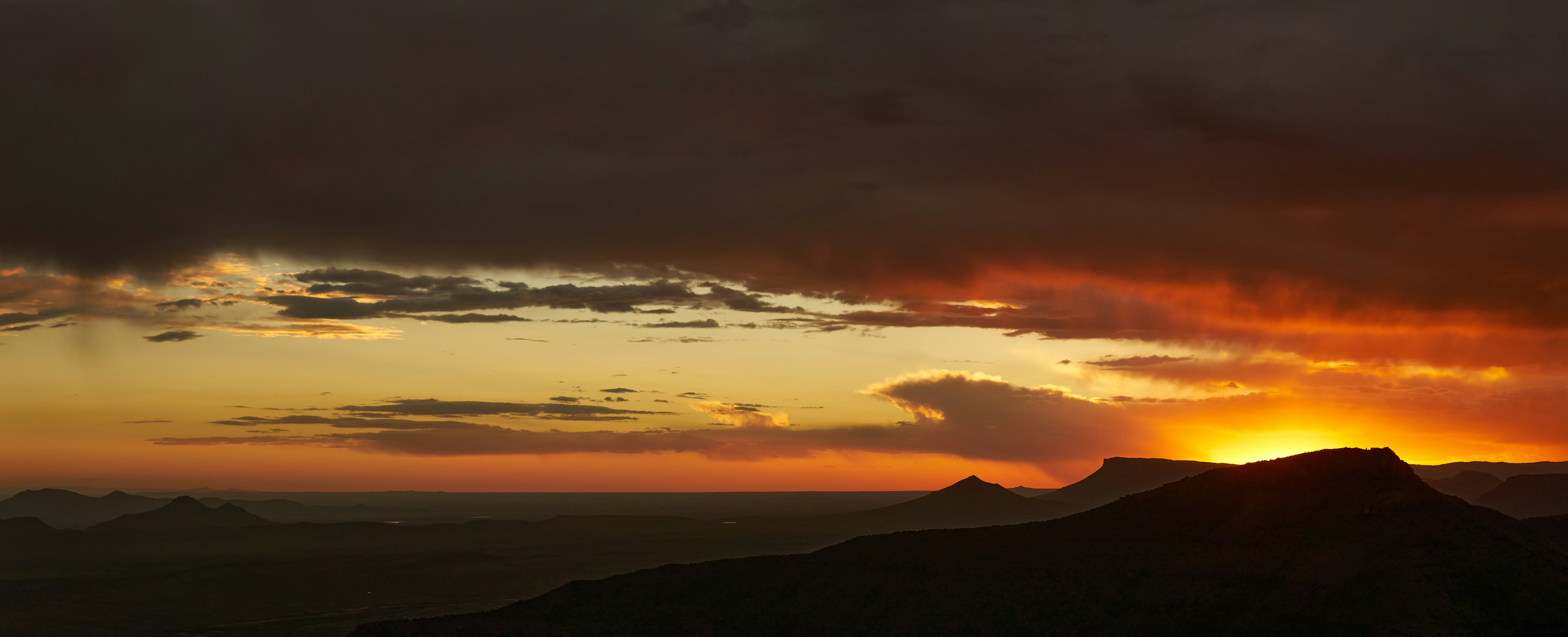 Photo by wolfgang_hasselmann