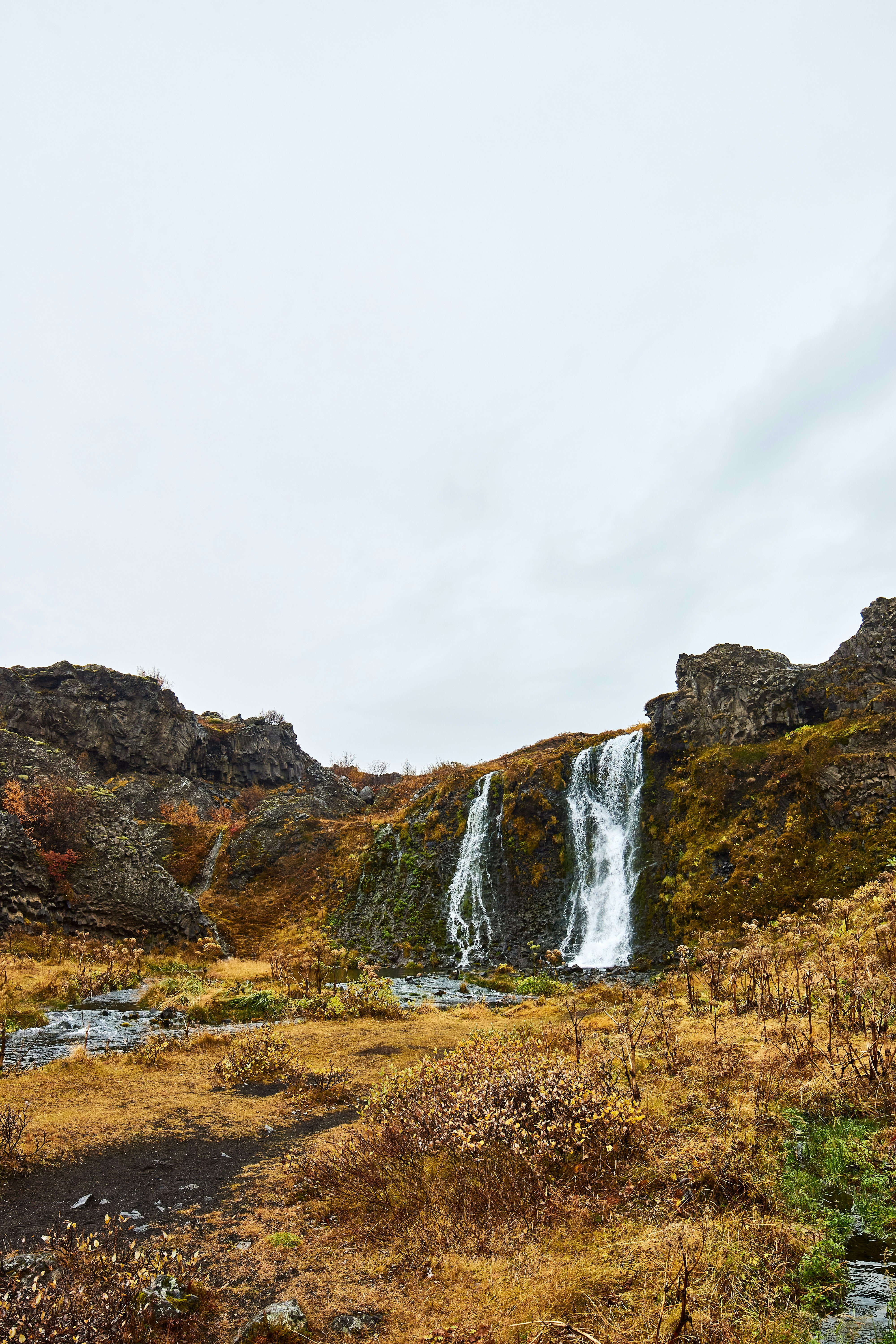 Photo by wolfgang_hasselmann