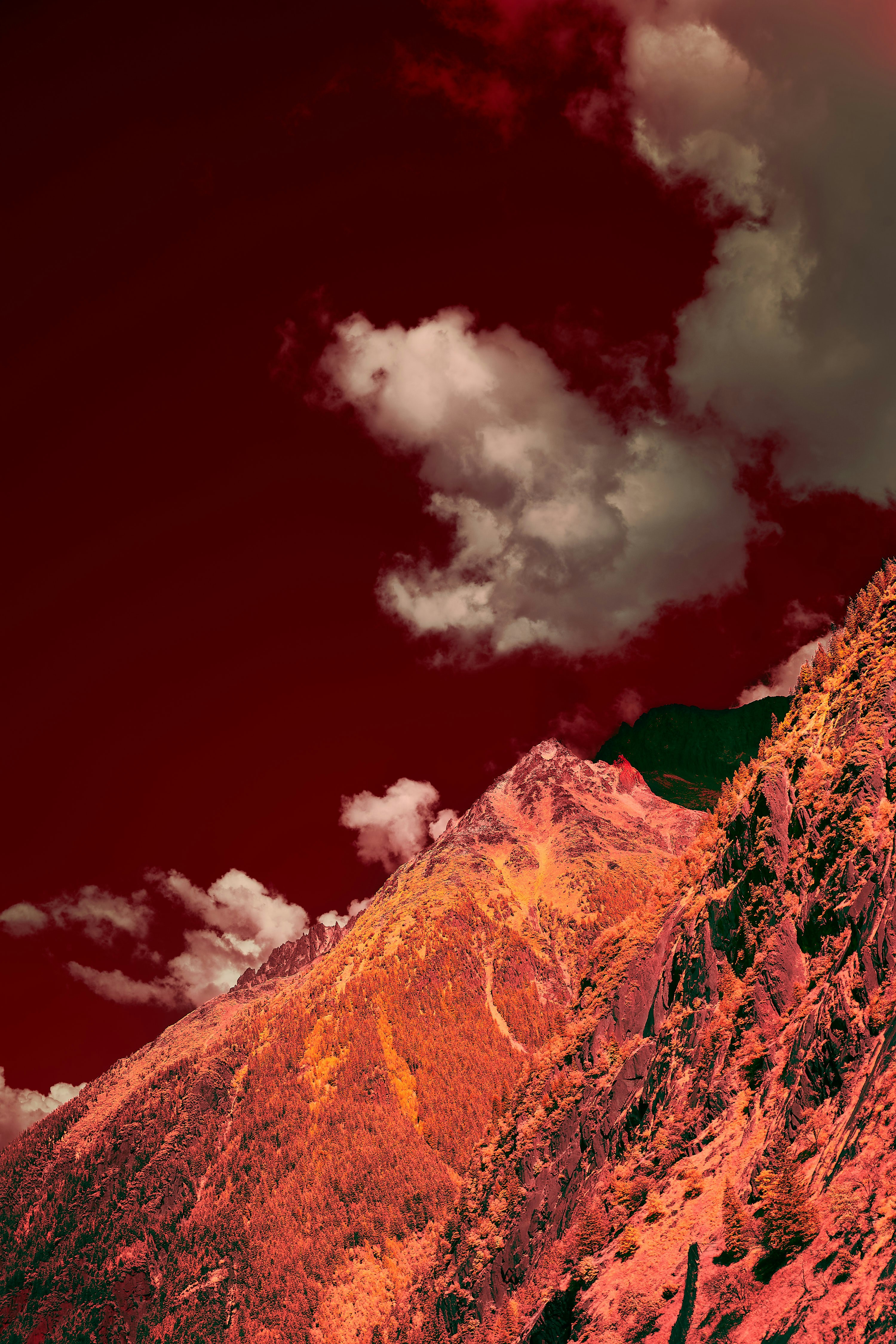 Photo by wolfgang_hasselmann