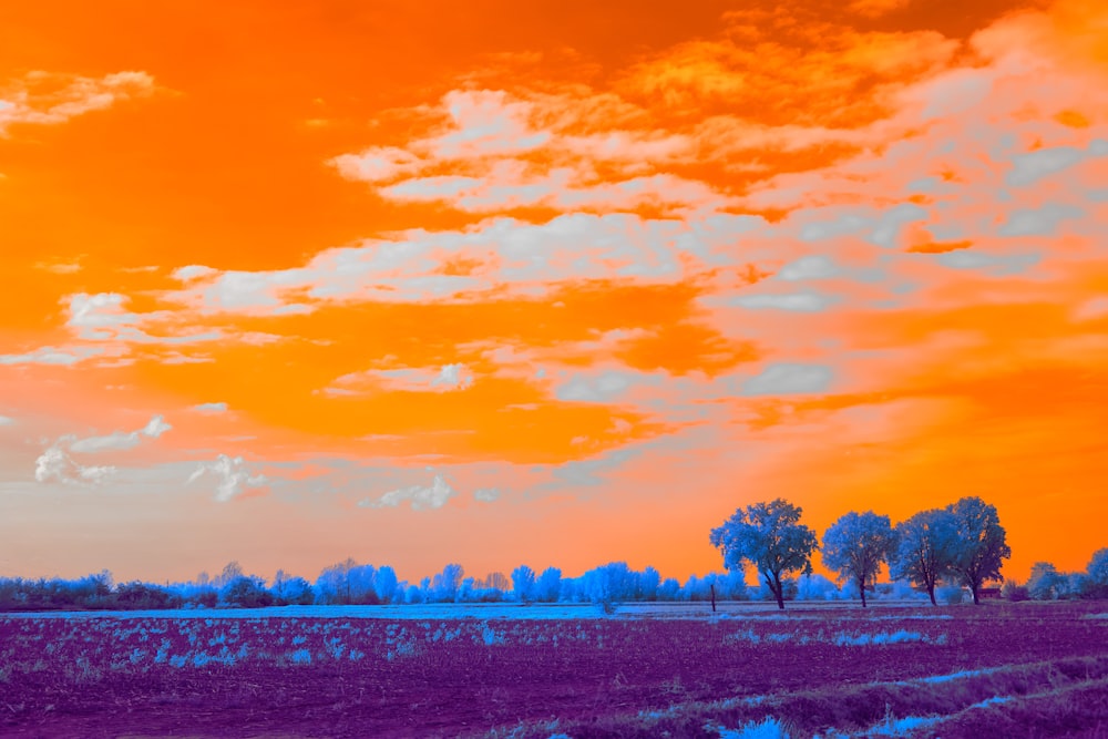 a field with trees in the distance under a cloudy sky