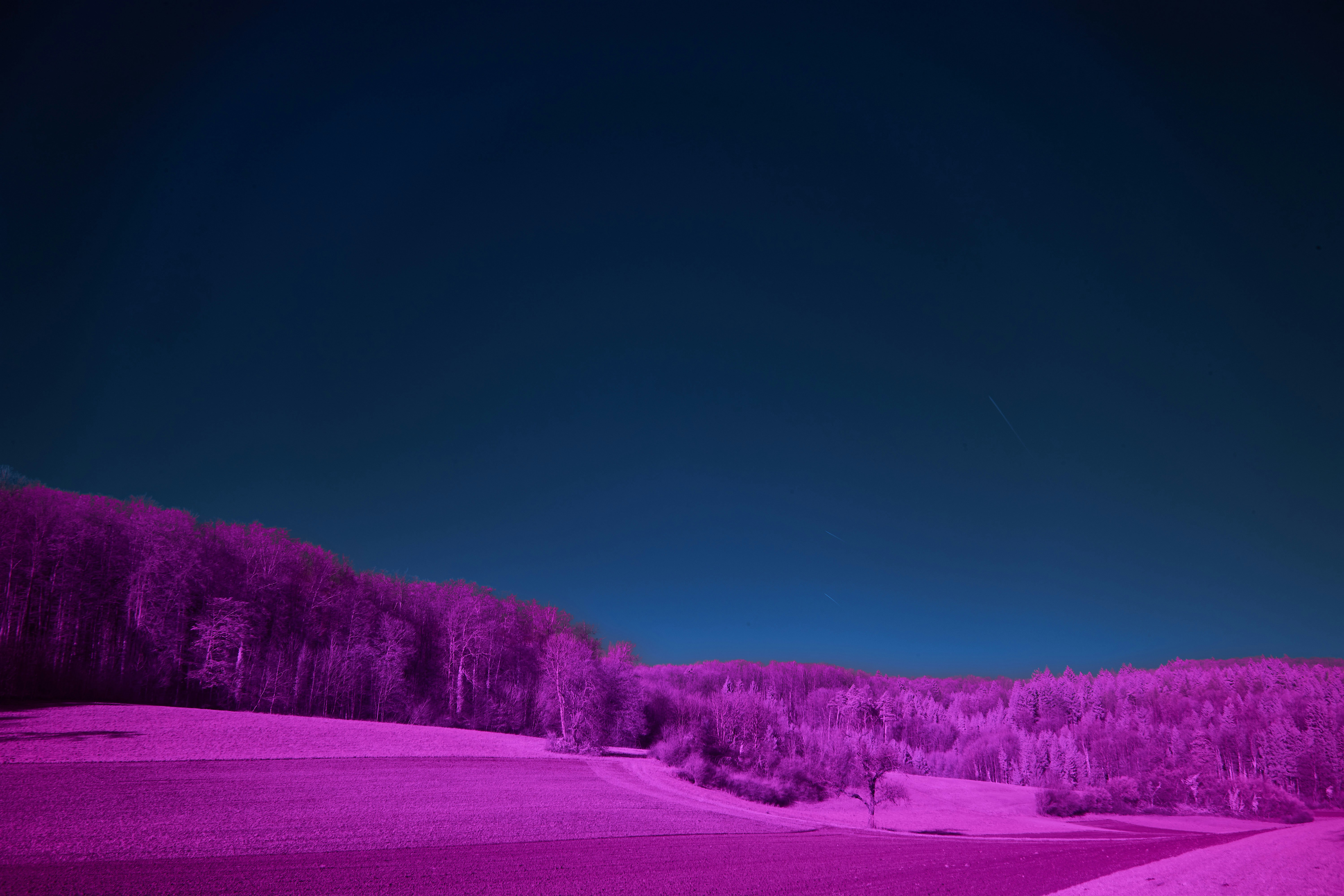 Photo by wolfgang_hasselmann