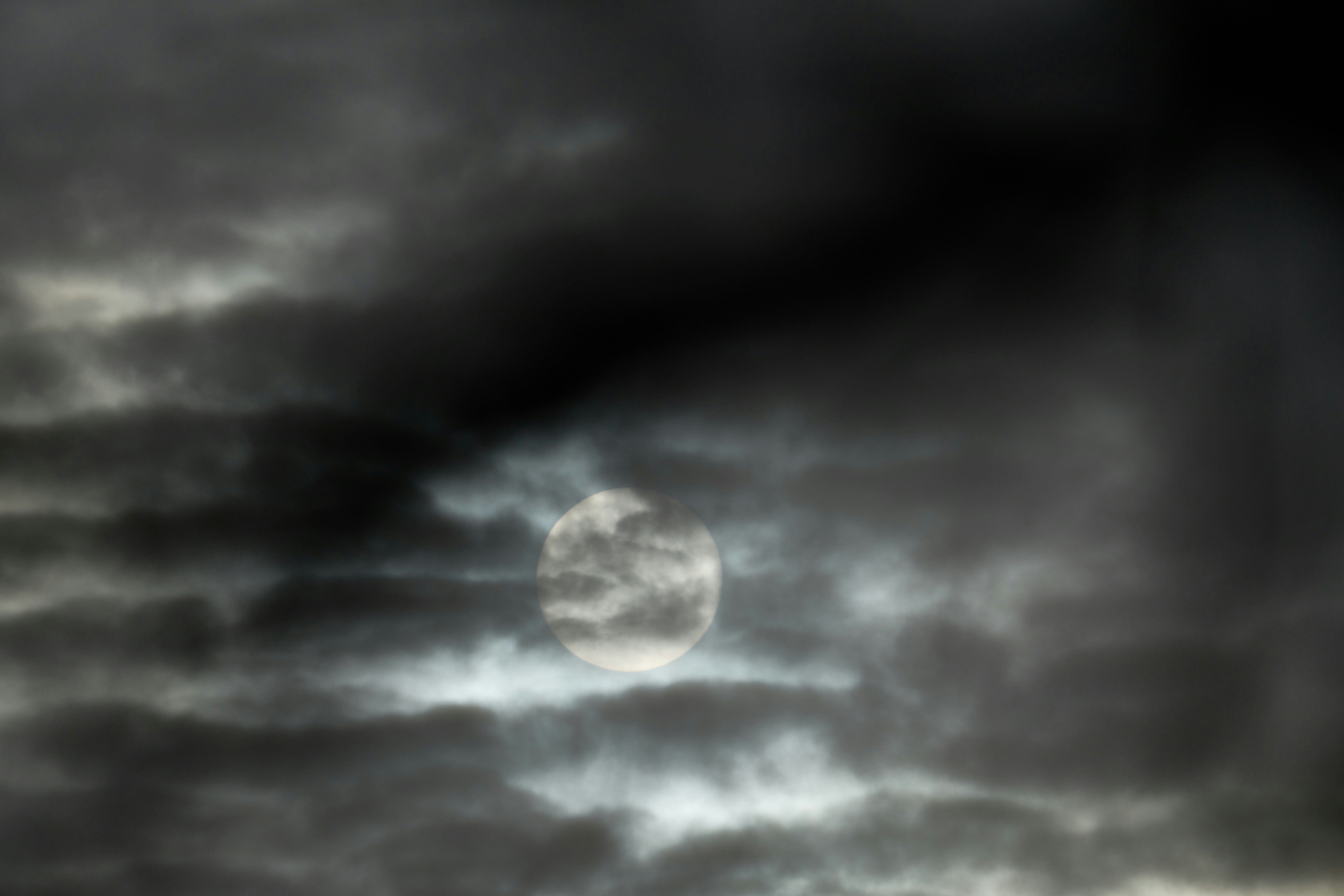 Photo by wolfgang_hasselmann