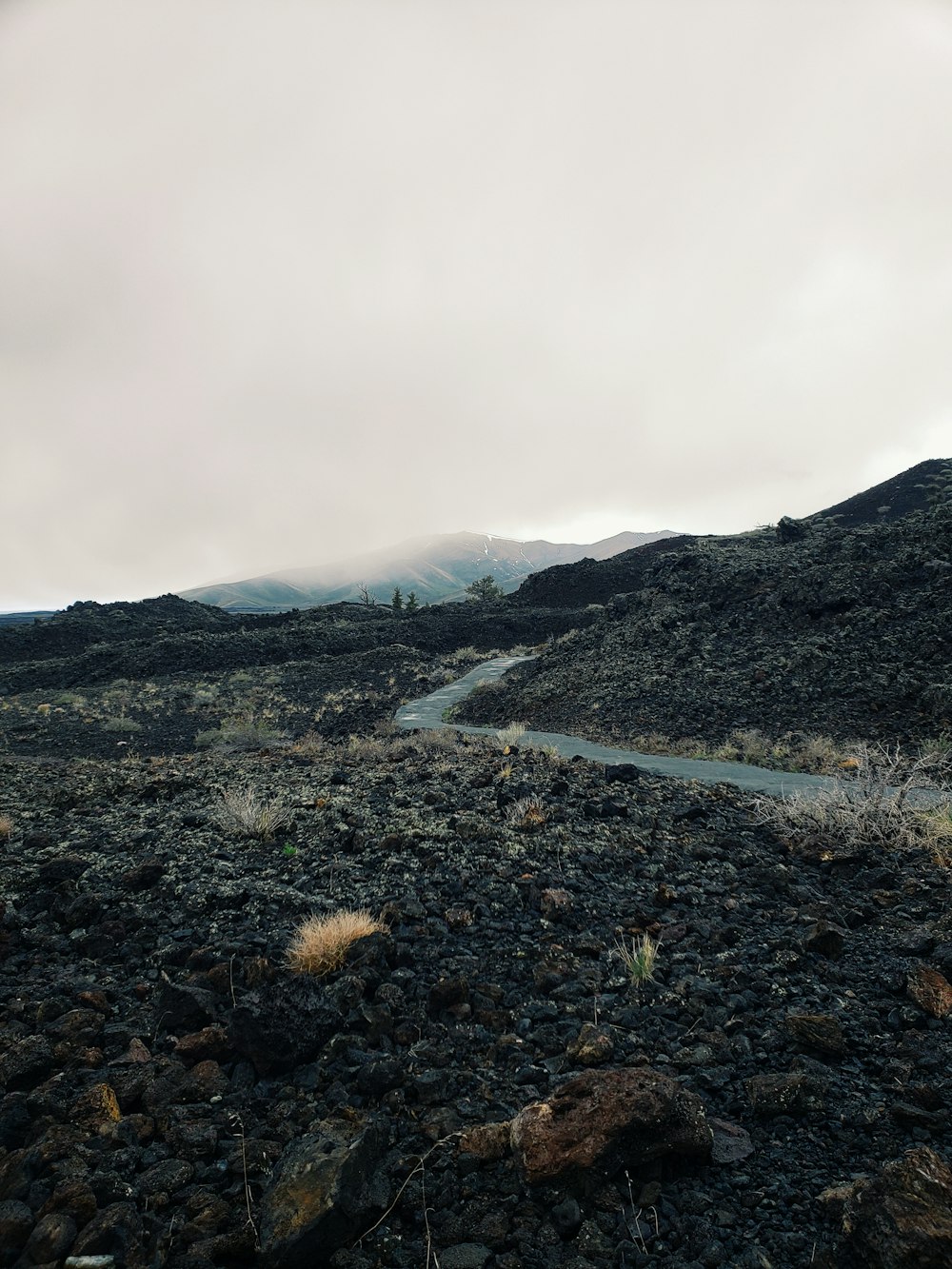 a dirt road in the middle of a field