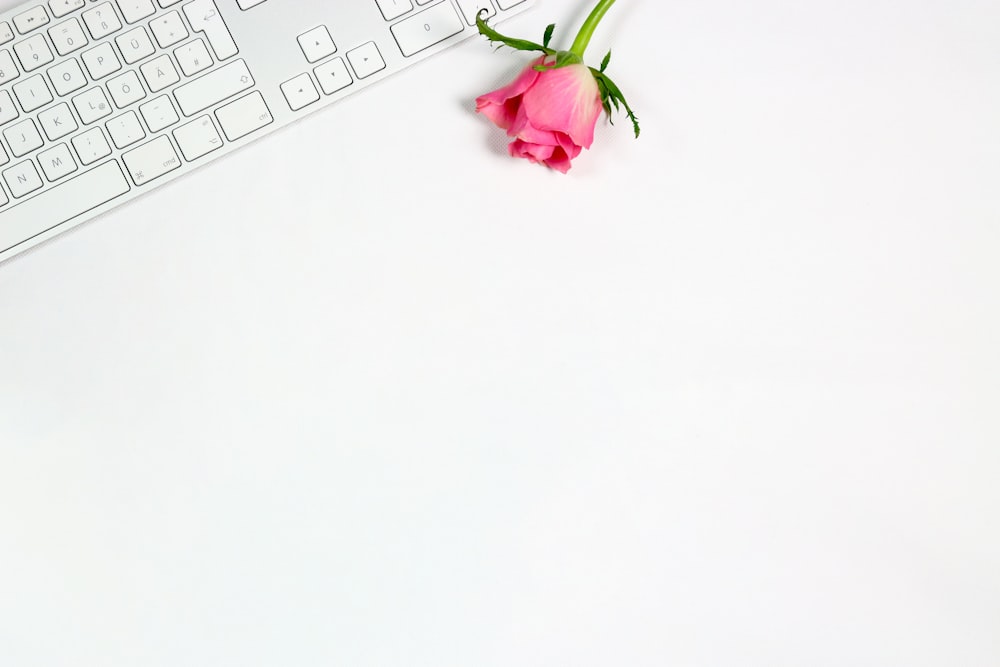 a pink rose sitting on top of a computer keyboard