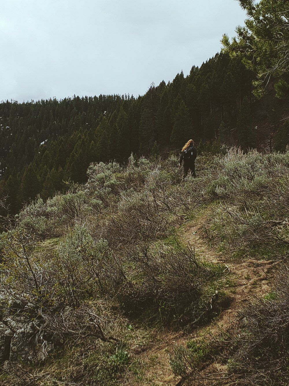 a person hiking up a hill with trees in the background