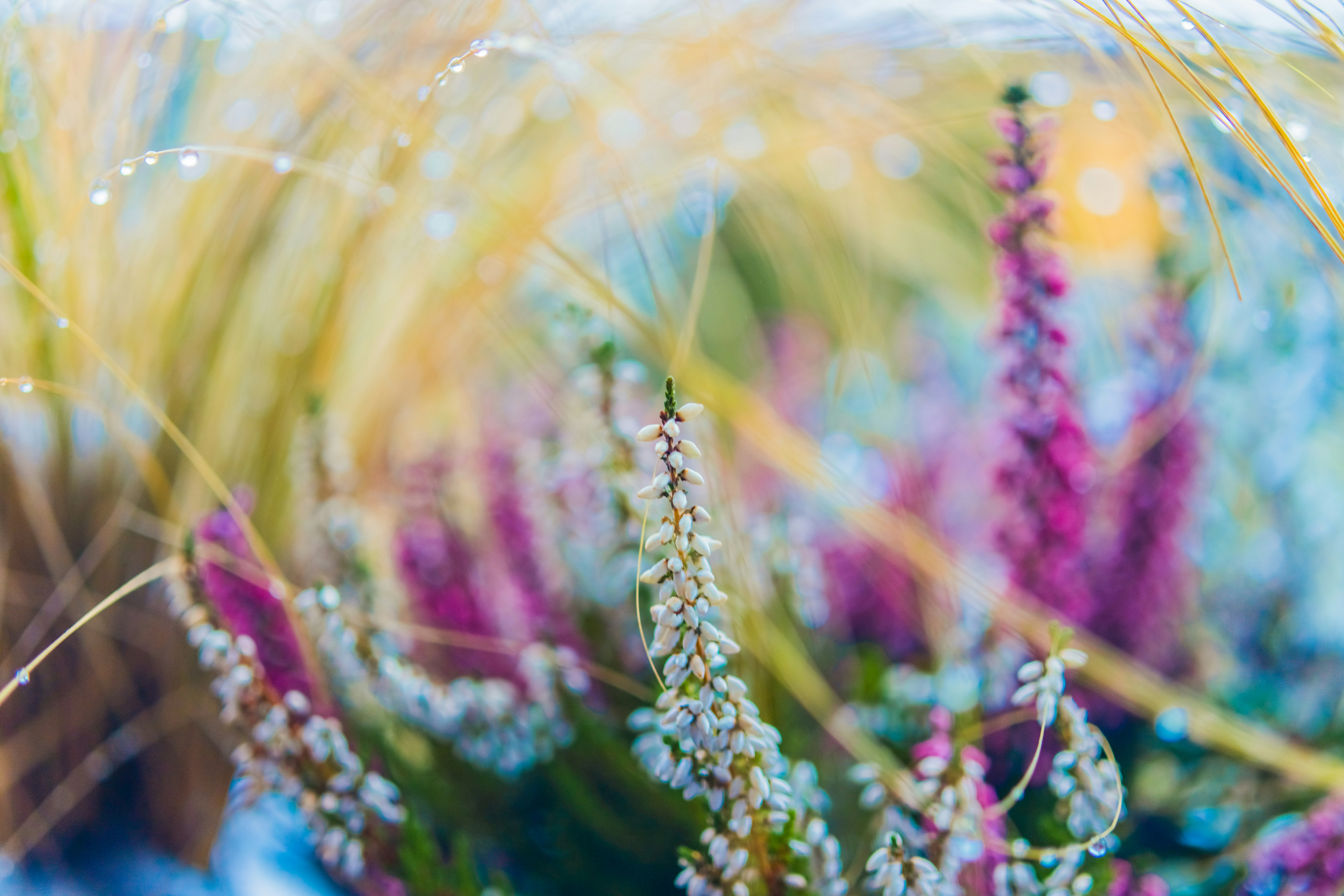 Photo by raimondklavins