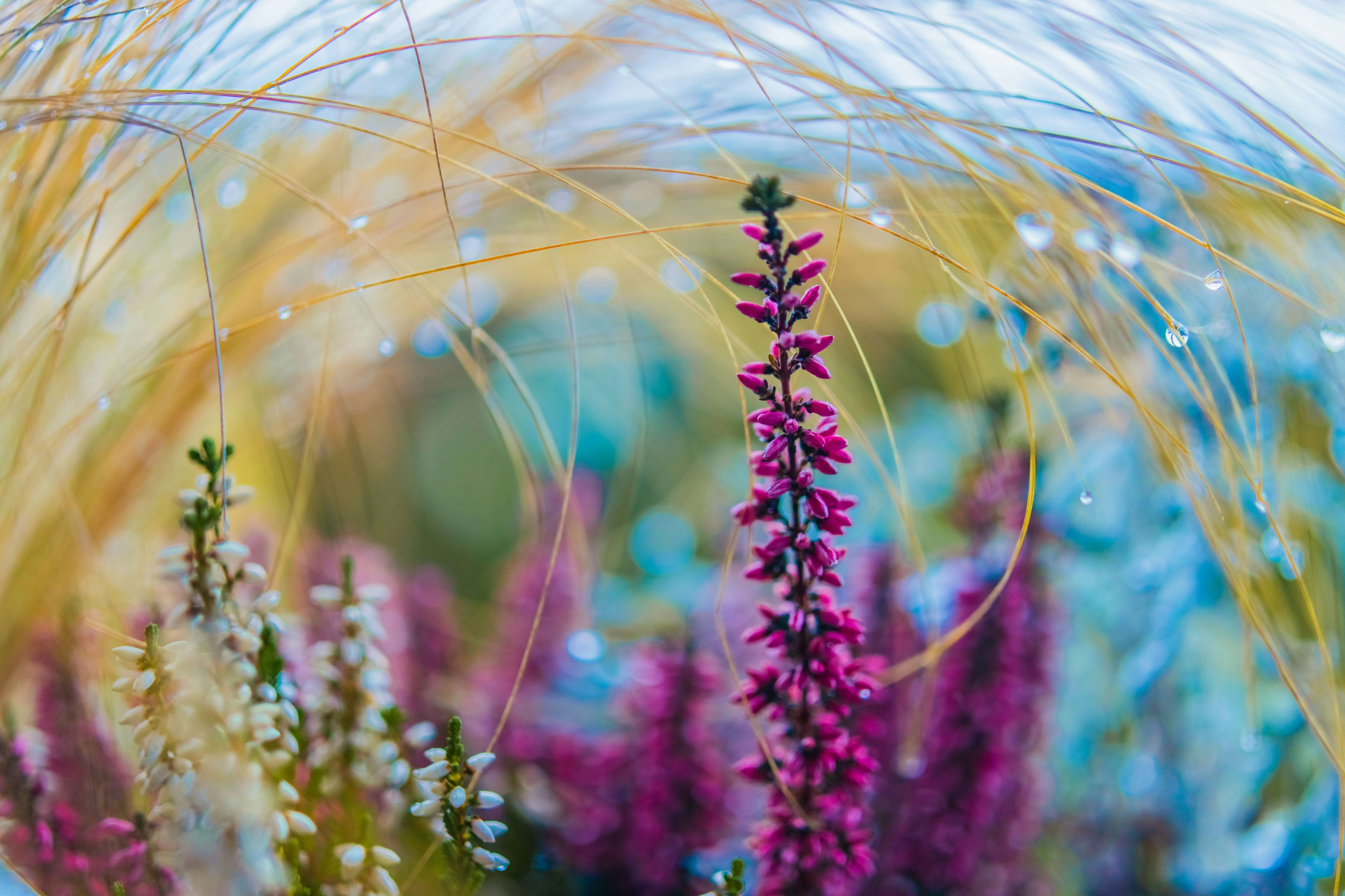 Photo by raimondklavins