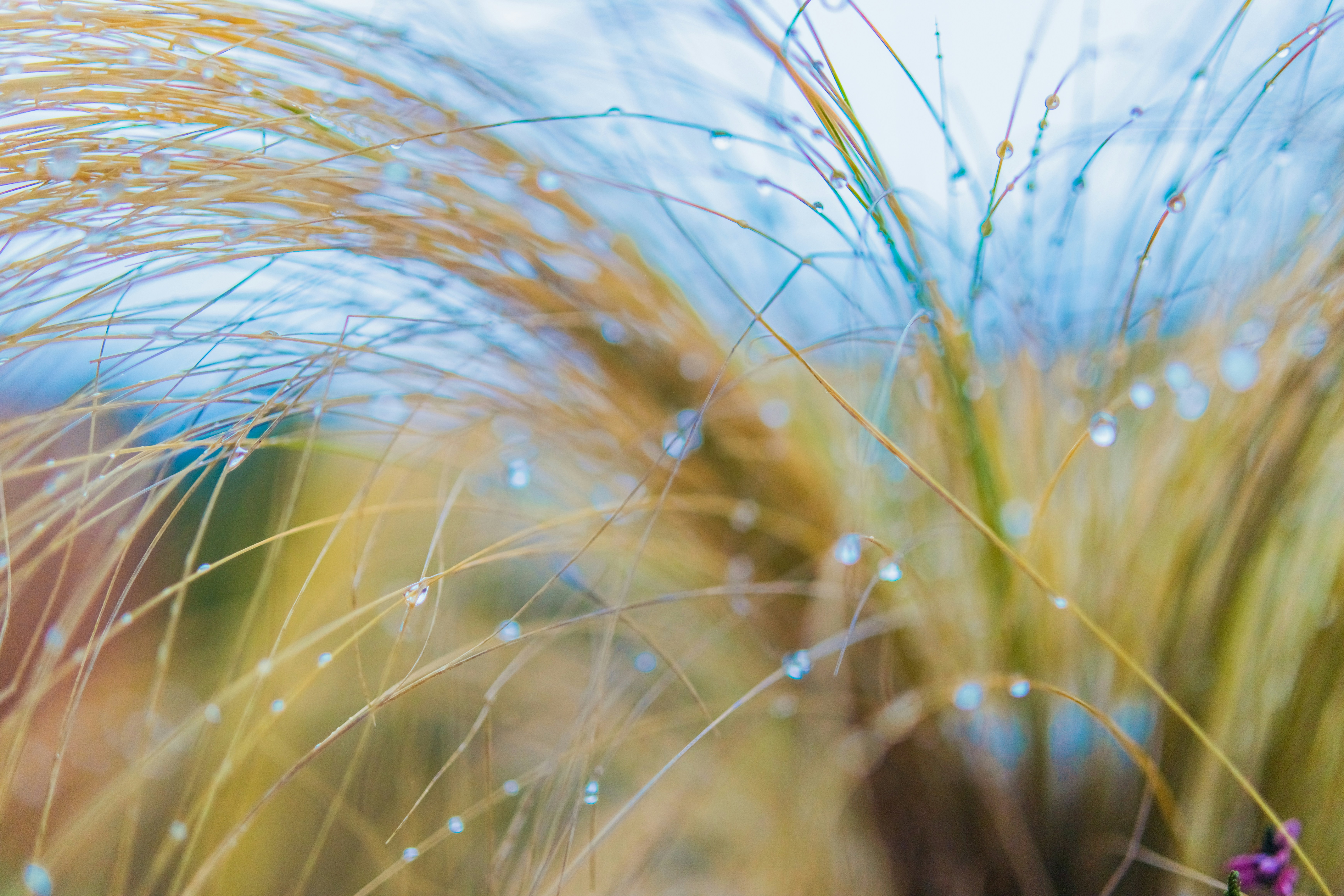 Photo by raimondklavins