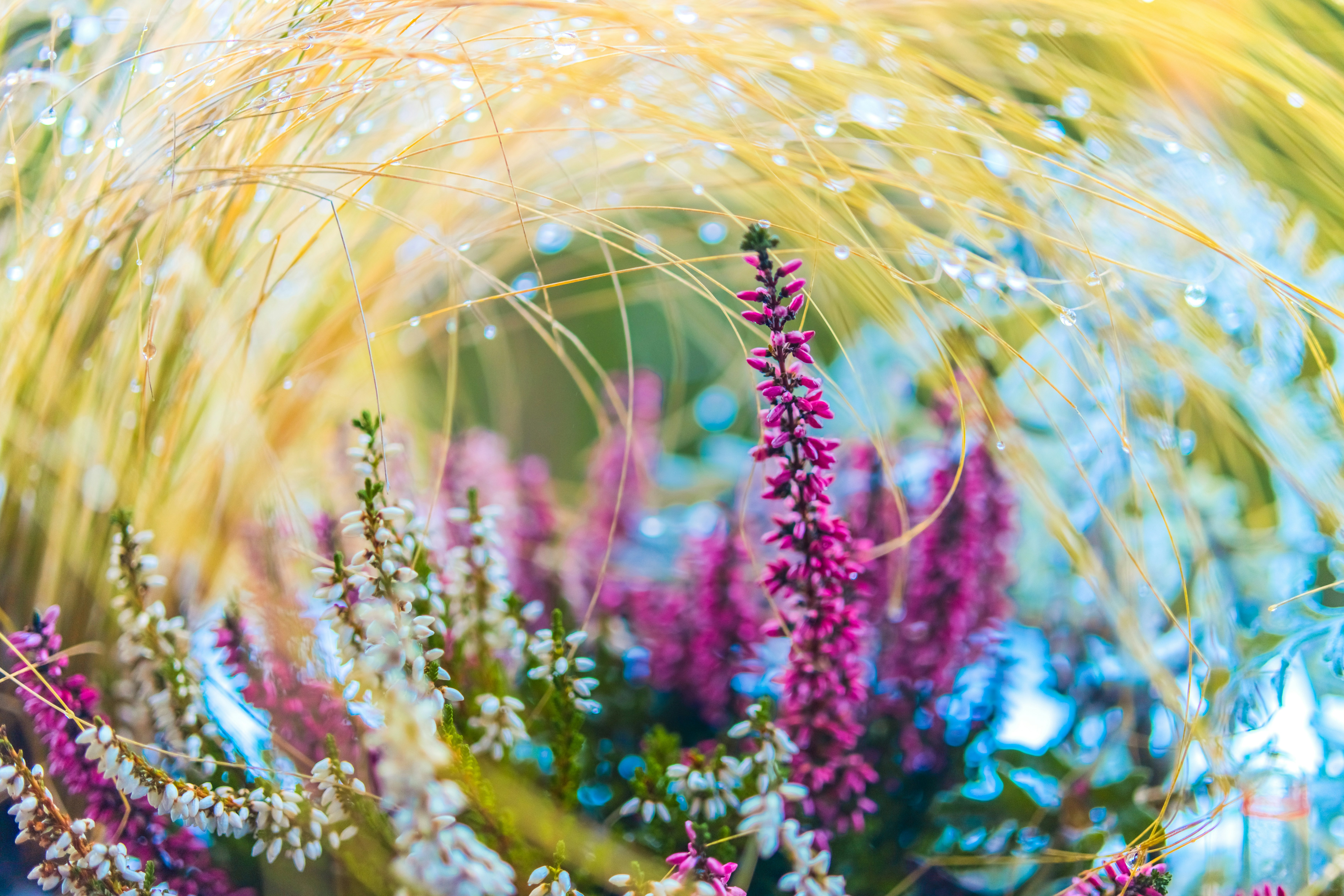 Photo by raimondklavins