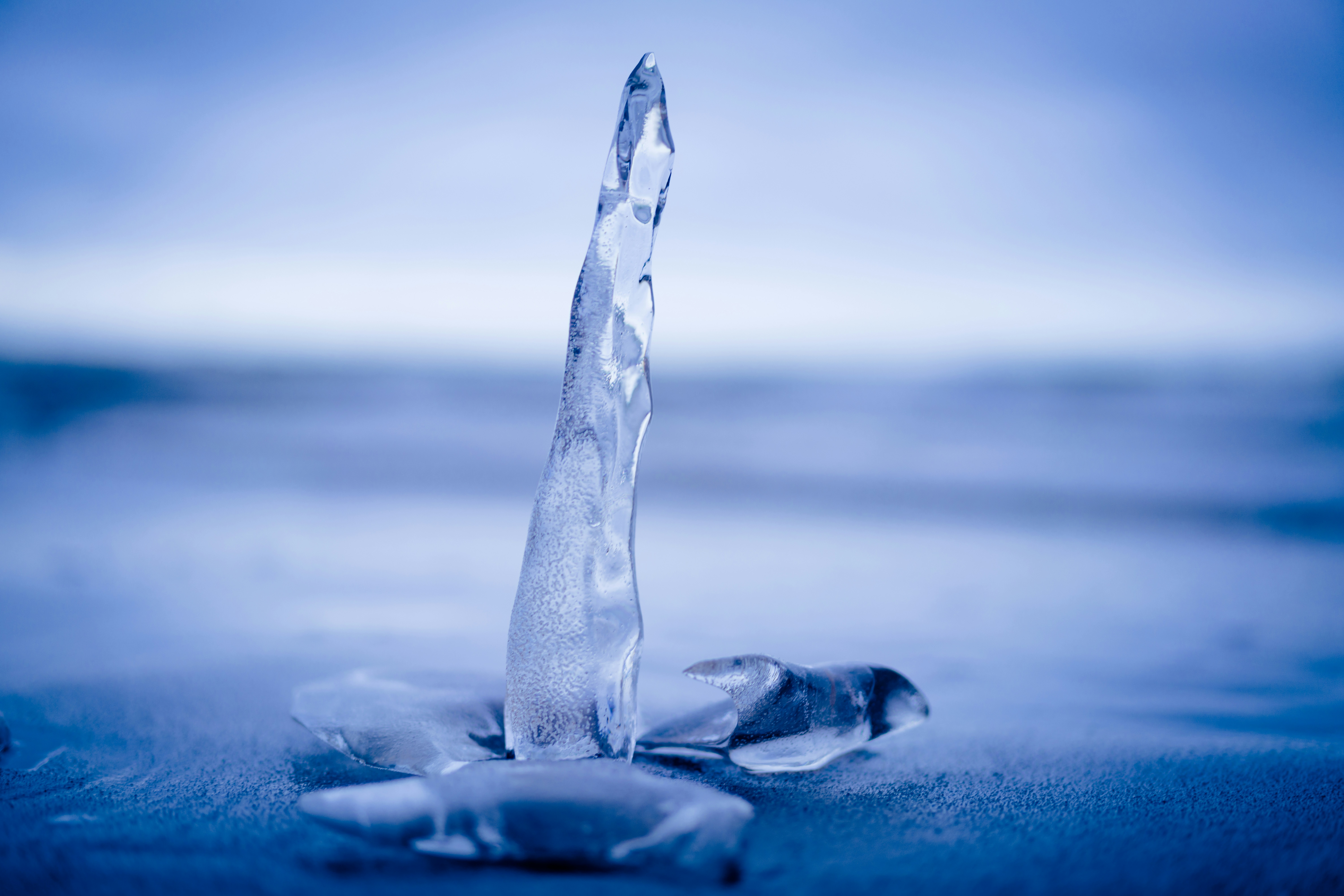 Frozen beauty.Sea coast
