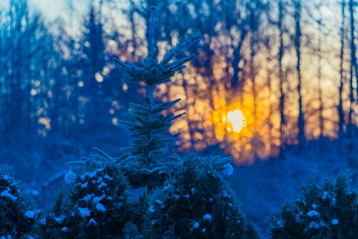 coucher de soleil hiver solstice ambiance calme, huiles essentielles, froid mental neige décorations