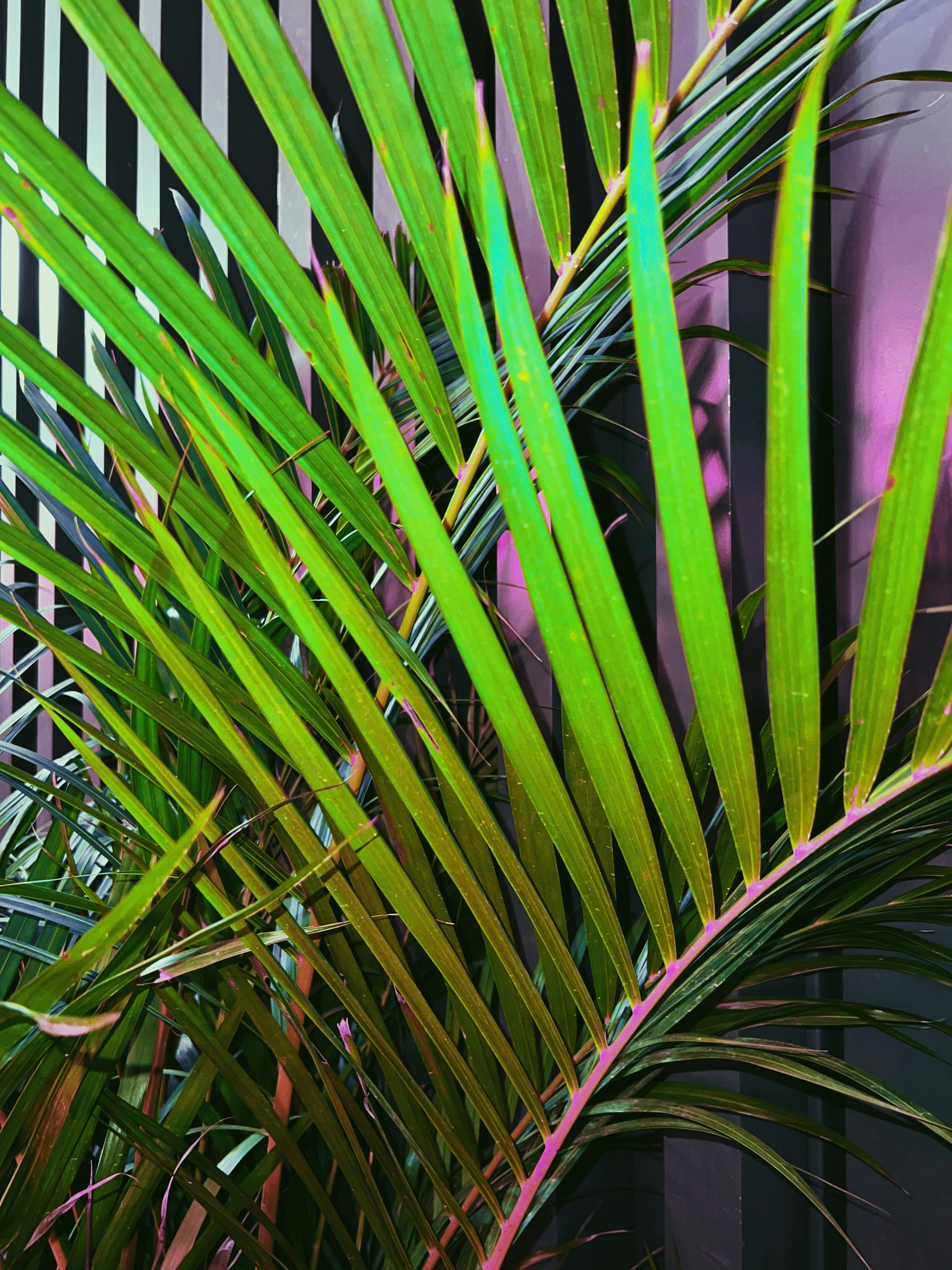 Photo by photohunter