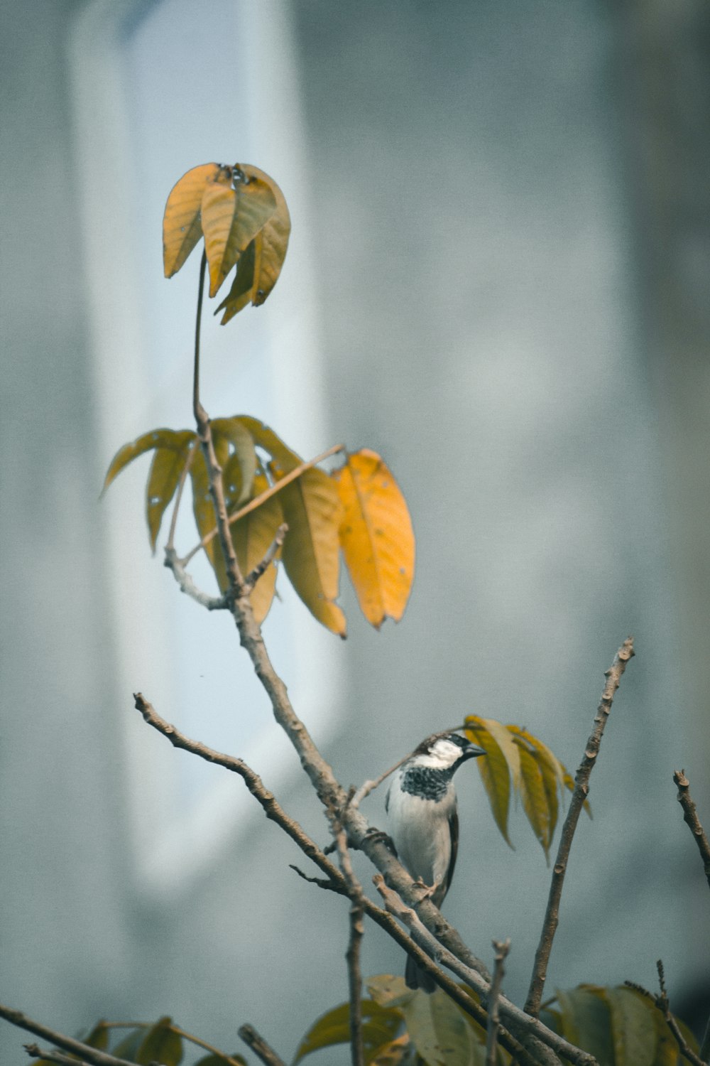 a small bird perched on a tree branch