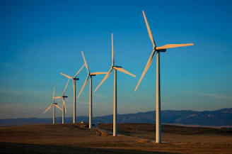 a row of wind turbines in a field