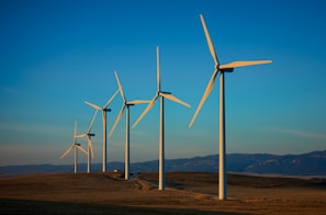 a row of wind turbines in a field