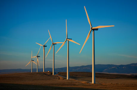a row of wind turbines in a field