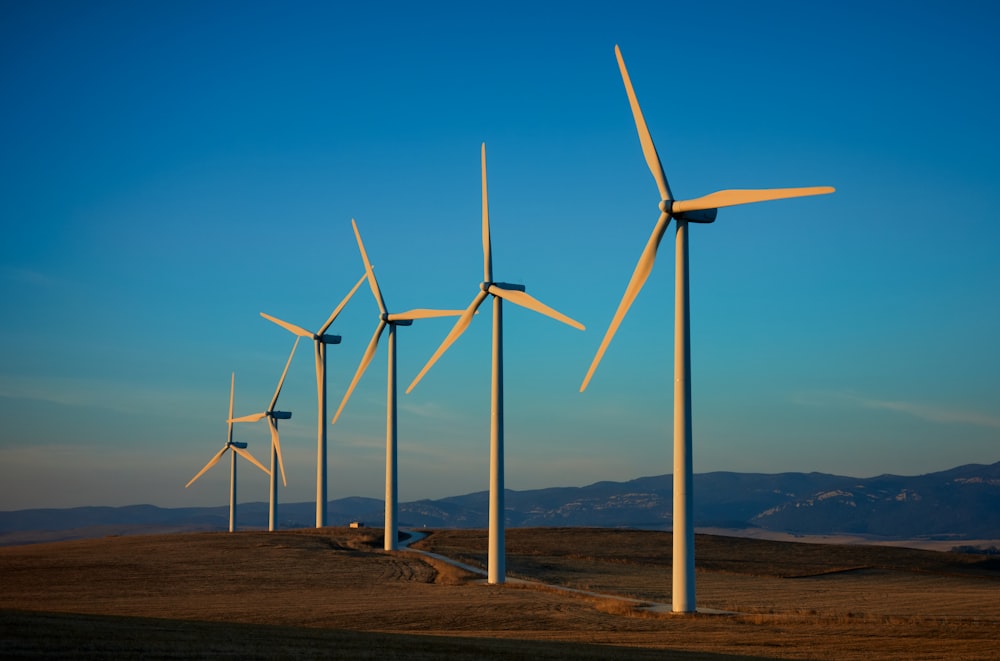 eine Reihe von Windkraftanlagen auf einem Feld