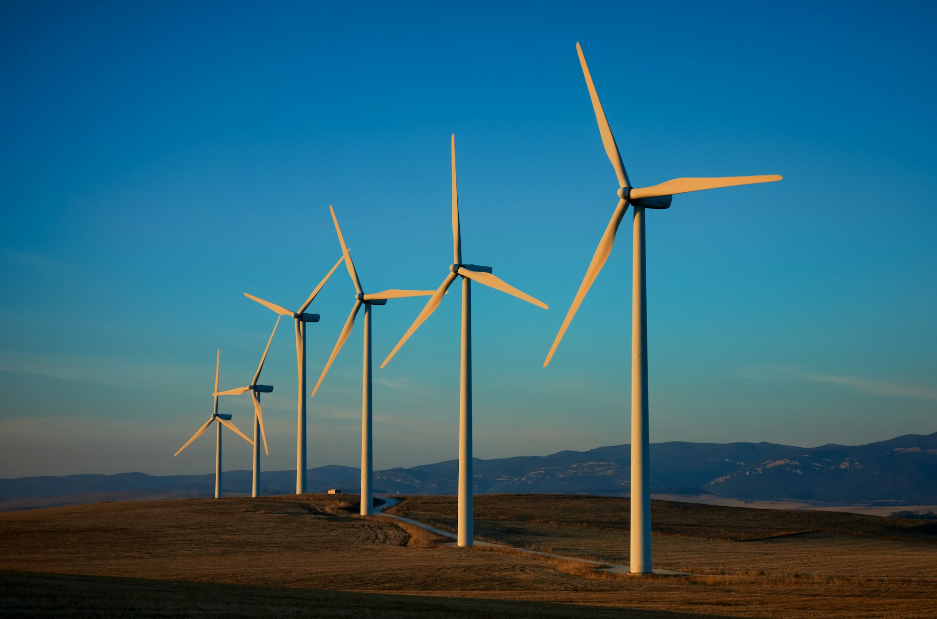 a row of wind turbines in a field