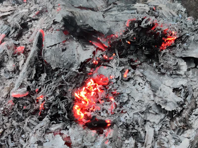 Wildfire Detection