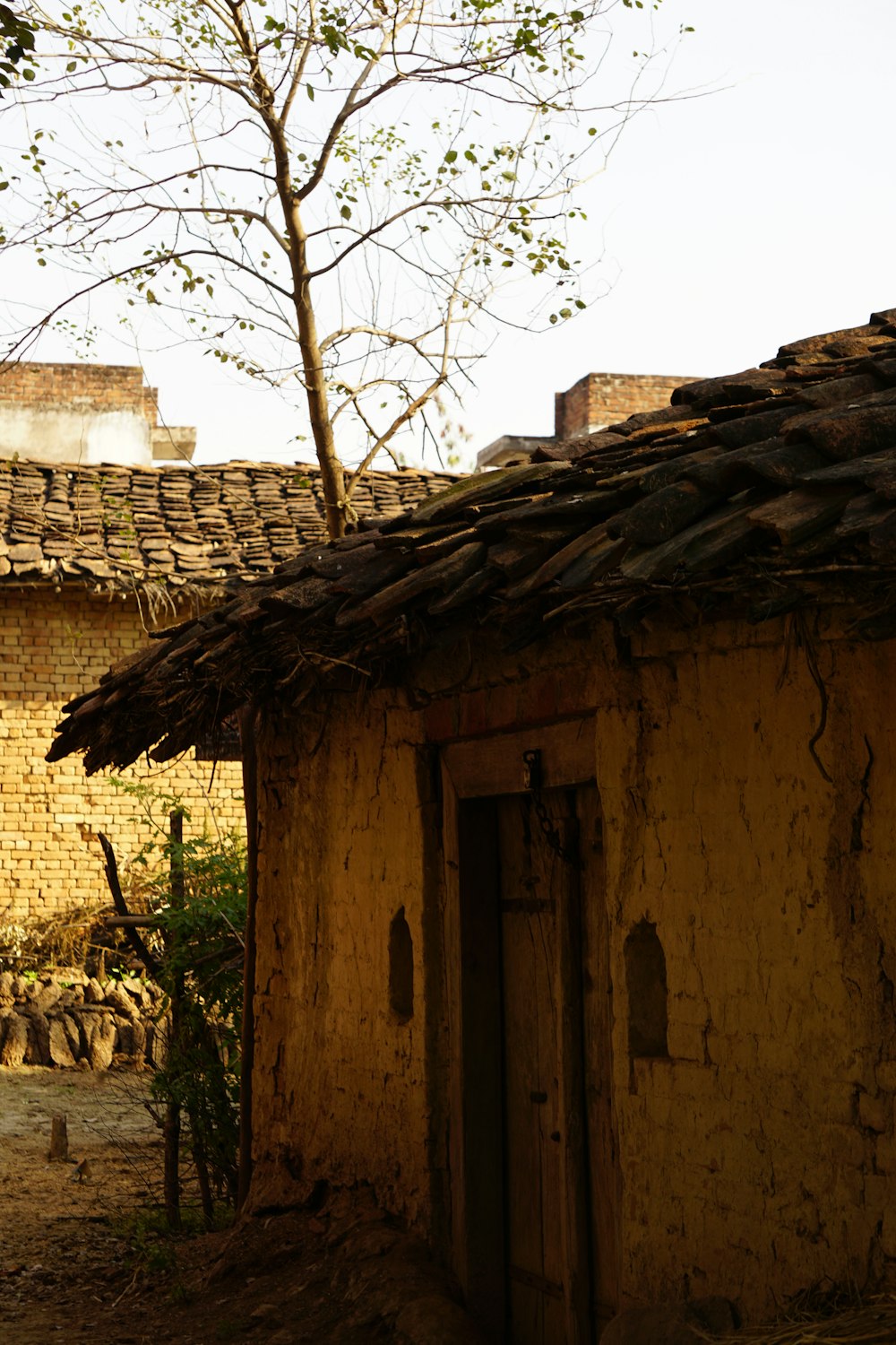 a small building with a tree in front of it