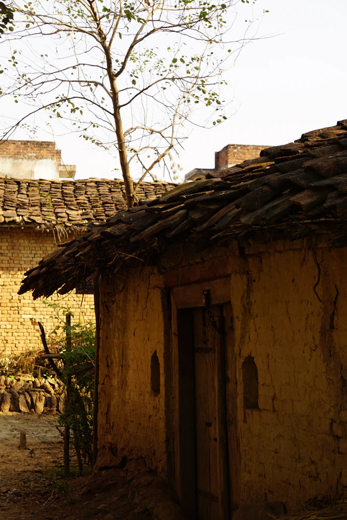 A small rural building with a tree in front