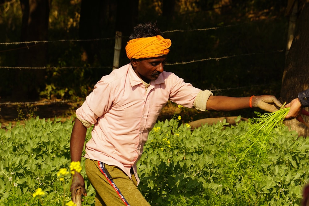 a man in a yellow turban is picking flowers