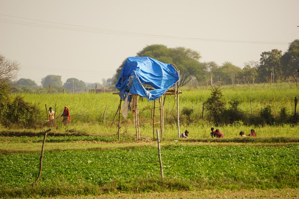 a blue tarp covering a wooden structure in a field