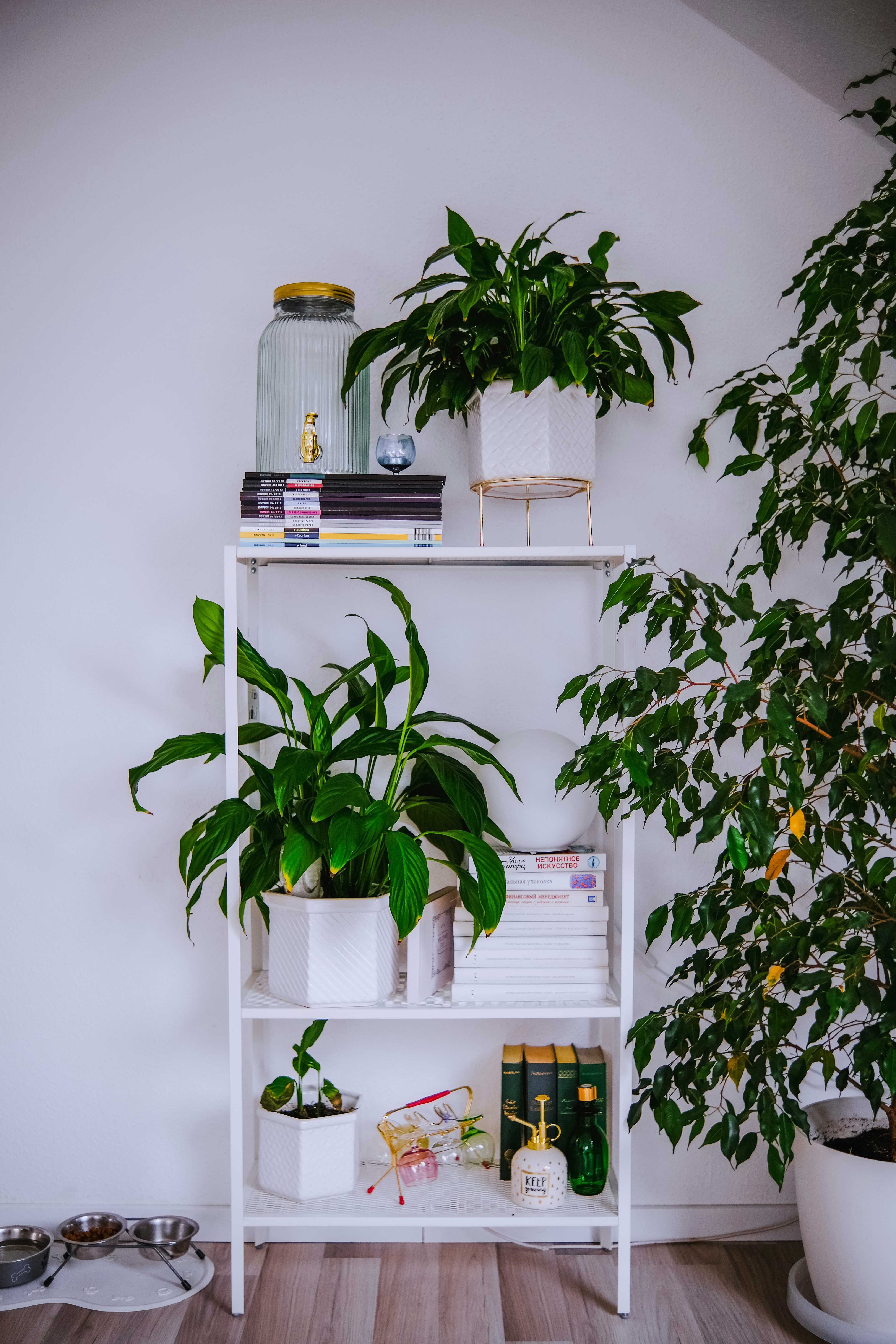 Photo by juliablumberg